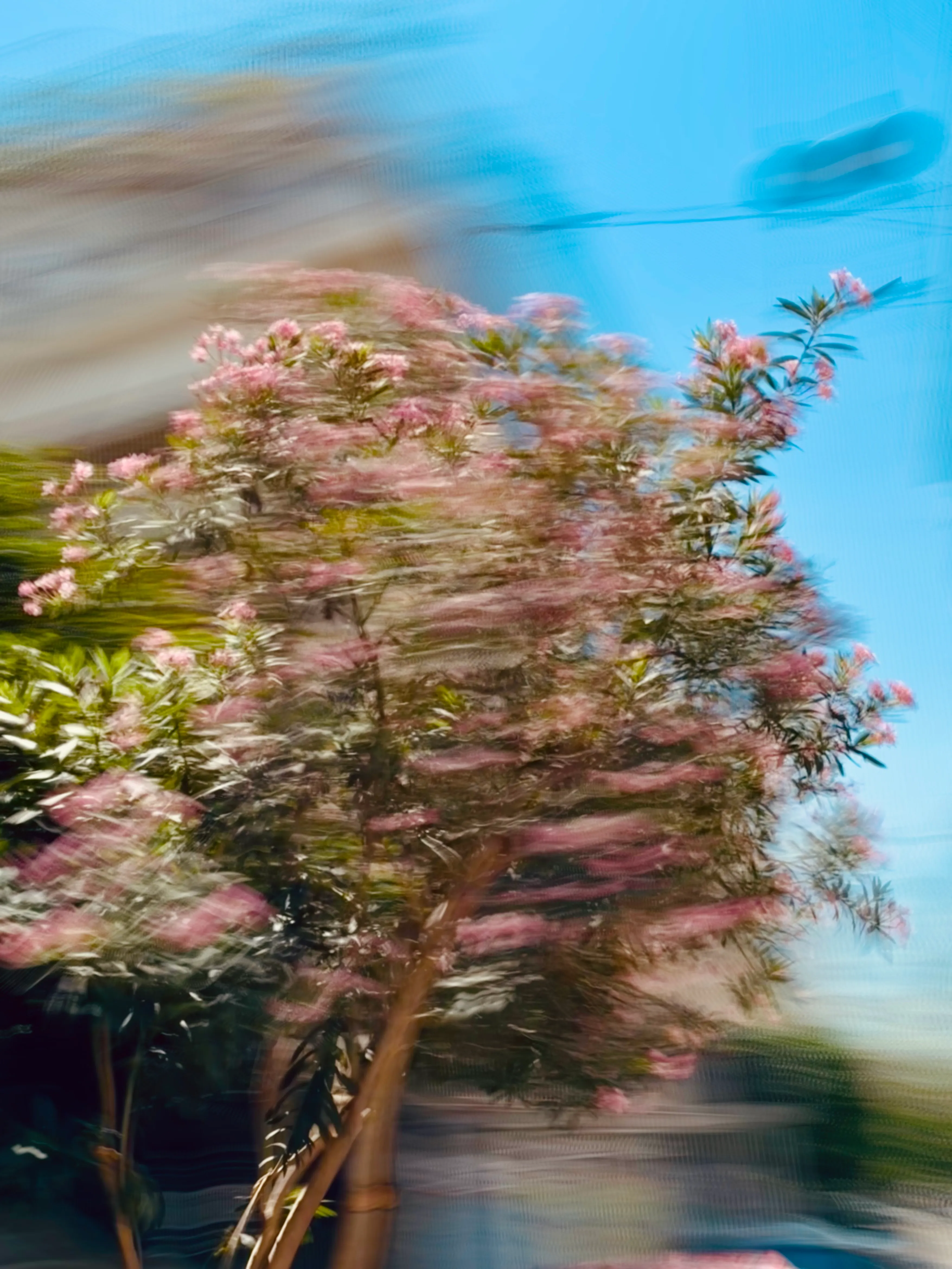 feed — Foto von Augustin Anders